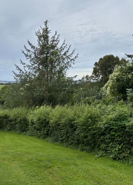 Oldhøj 27, Bråde, 4500 Nykøbing Sj