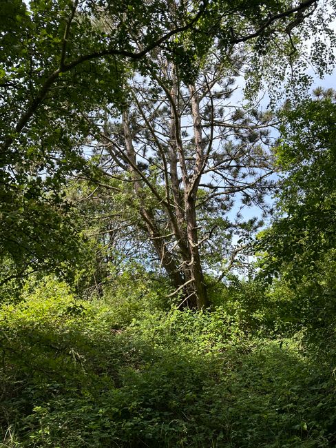 Sneppevej 10, Overby Lyng, 4583 Sjællands Odde