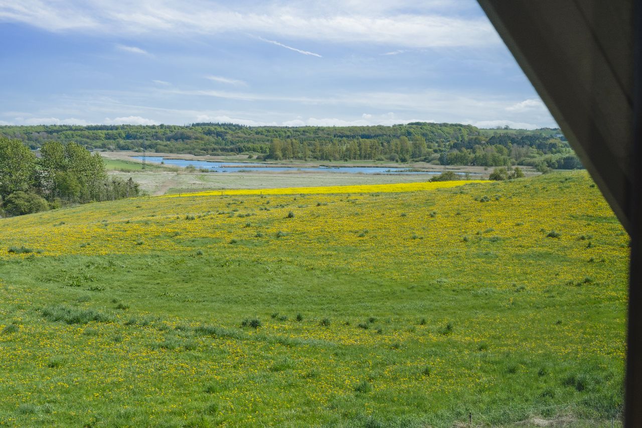 image 02
